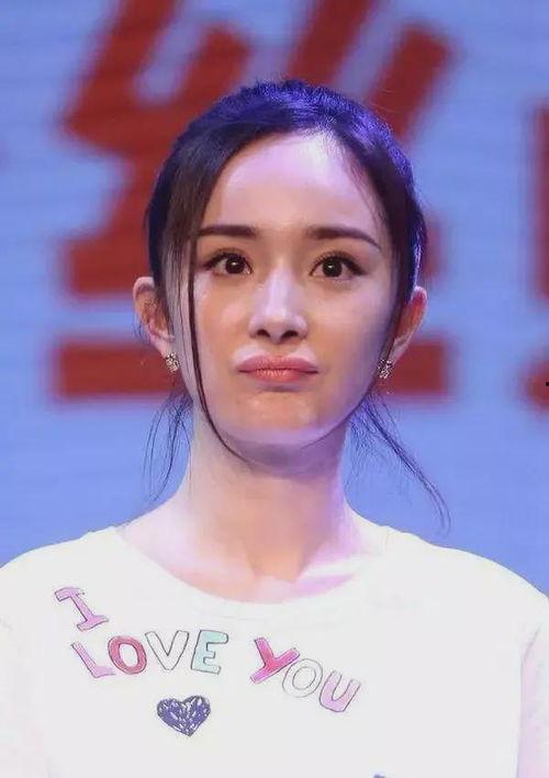 明星太大了,太火太大背后的挑战与机遇