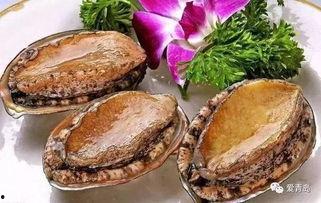 网红鲍鱼打架,一场网络风波背后的真相