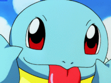 吃瓜的杰尼龟,揭秘网红宠物的趣味生活