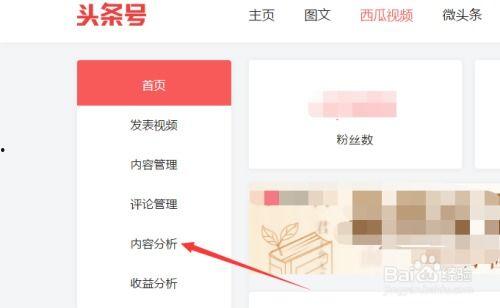 怎么查自己头条号的视频,如何查询自己头条号视频的播放数据与互动情况